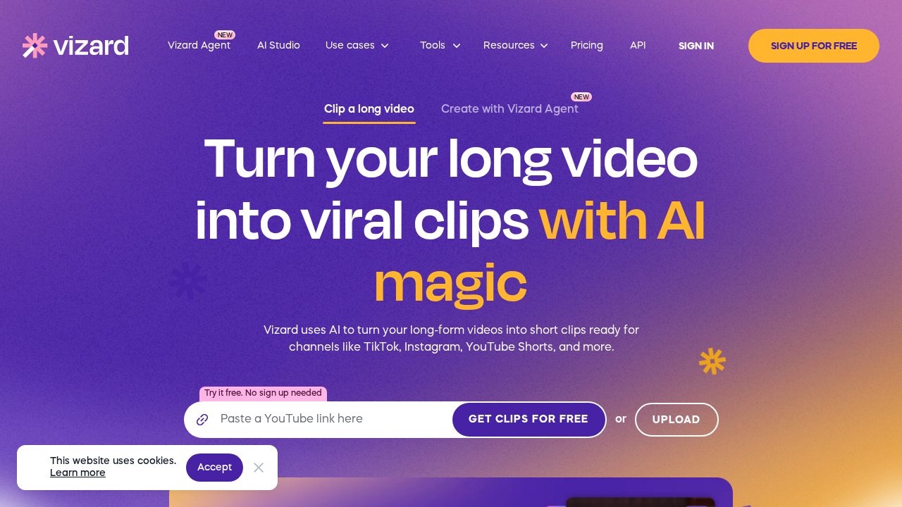Vizard AI software preview
